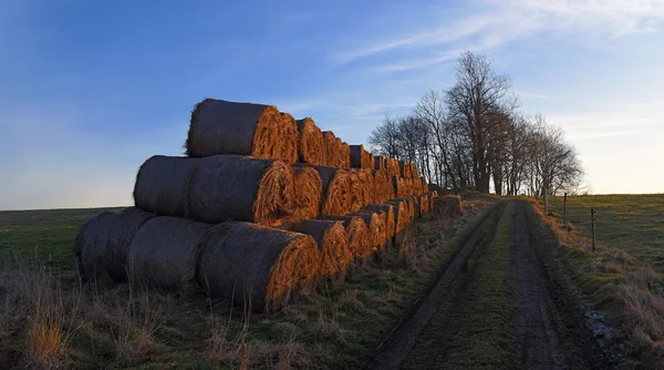 Napfelkelte, az Észak-Csehország — Stock Fotó