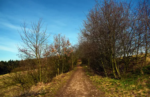 Chemin le matin — Photo