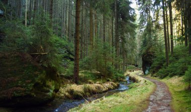 Creek ve yol ile Milli Parkı
