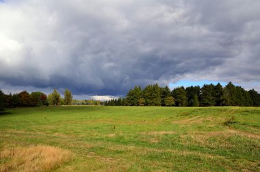 Yaz aylarında çayır