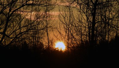 Sunset ağaçlar ile