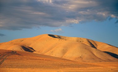 California Hill'de çöl