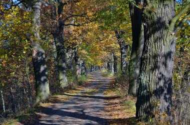 Havuzları arasında yol