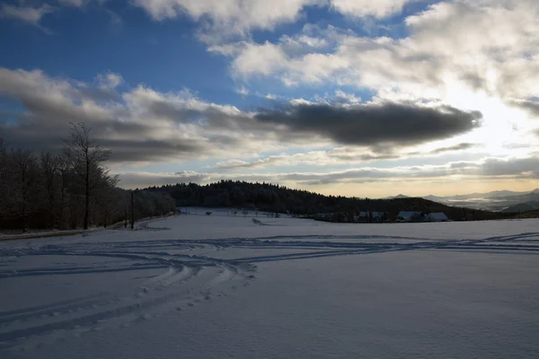 Prado nevado nas montanhas — Fotografia de Stock