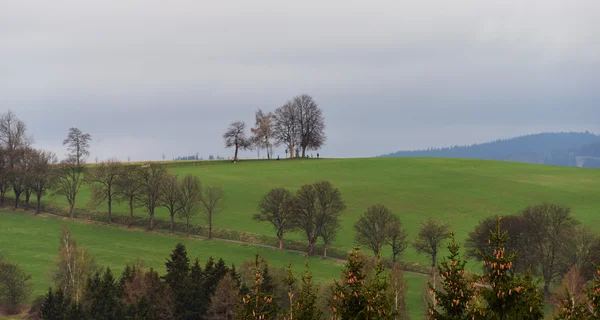 Bomen met kruisbeeld en groene velden — Stockfoto