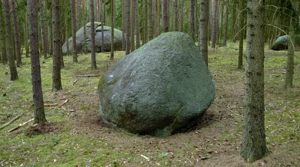 Stone in spring forest — Stock Photo, Image