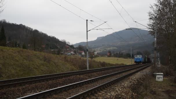 Towarowy pociąg w dolinie rzeki Labe — Wideo stockowe