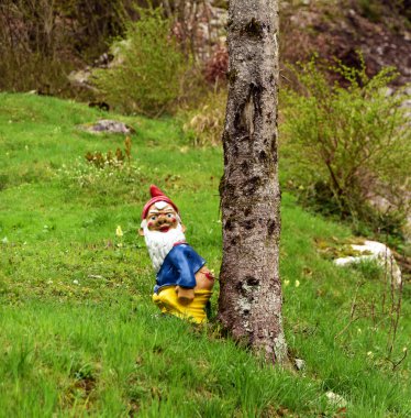 Renk gnome tree yakınındaki