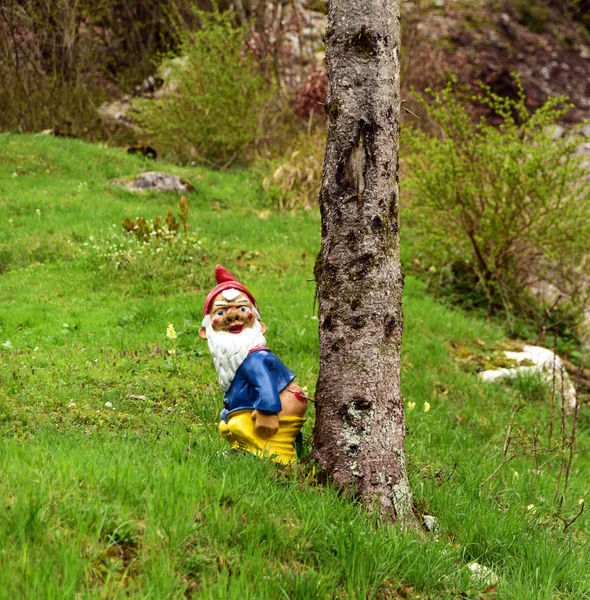 Kleur gnome bij boom — Stockfoto