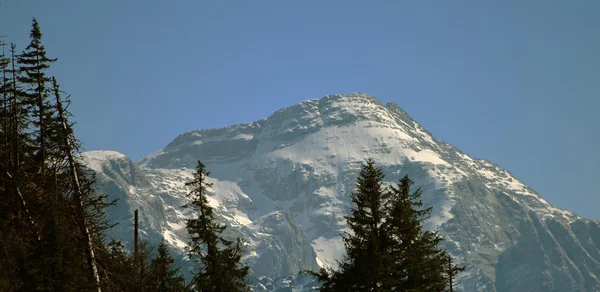 Vista alpina de estrada longa — Fotografia de Stock