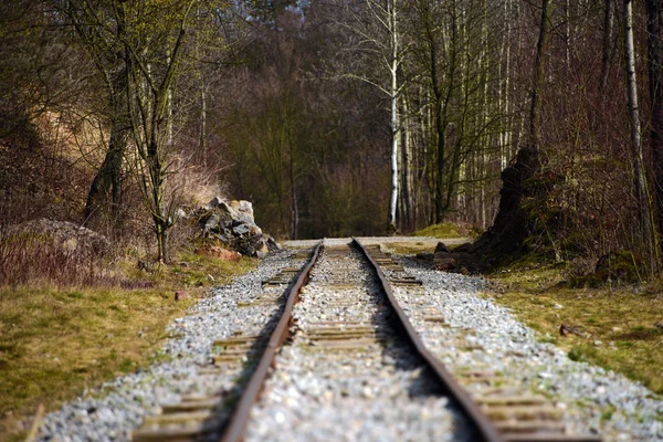 Smalspårig järnväg — Stockfoto