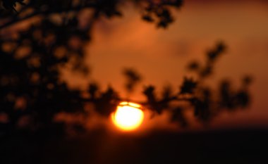 Sunset Bulvarında Neuhausen dağlar