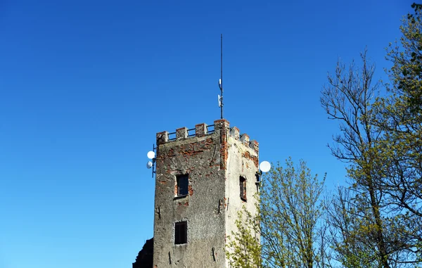 Ruína do castelo Ryzmberk — Fotografia de Stock