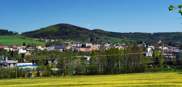 Kdyne の町の近くの黄色のフィールド — ストック写真