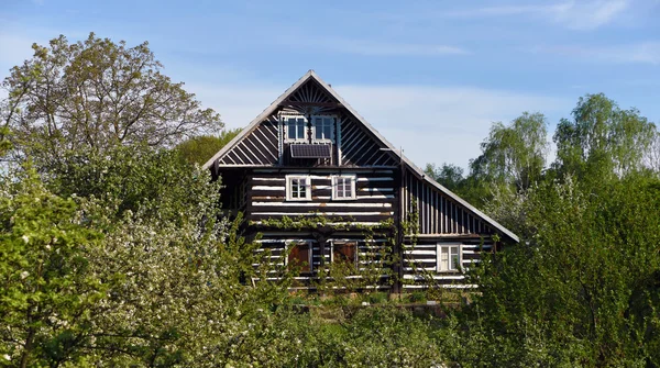 Arkitekturen i Kokorin slottområdet — Stockfoto