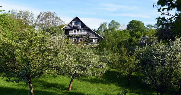 Architecture dans la zone du château de Kokorin — Photo