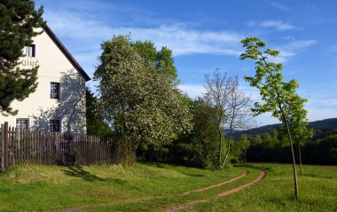 Yeşil manzara Kokorin castle yakınındaki