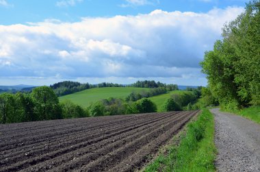 Dağlarda kahverengi alan