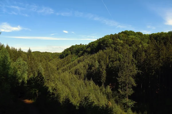 Grüne Landschaft in der Nähe der Burg Kokorin — Stockfoto