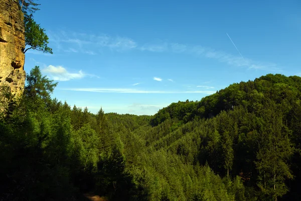 Green landscape near Kokorin castle — Stock Photo, Image