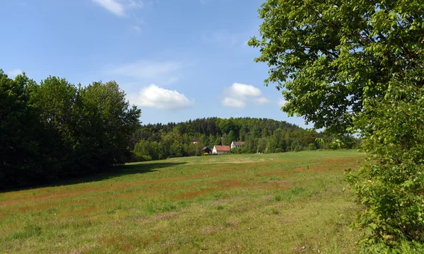 Paisaje verde cerca del castillo de Kokorin —  Fotos de Stock