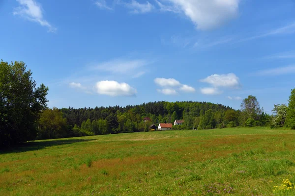 Grüne Landschaft in der Nähe der Burg Kokorin — Stockfoto