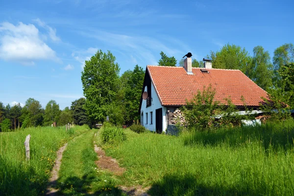 Groene landschap in de buurt van Kokorin kasteel — Stockfoto