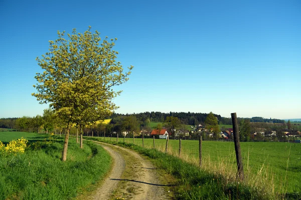 Zelená krajina v jižních Čechách — Stock fotografie