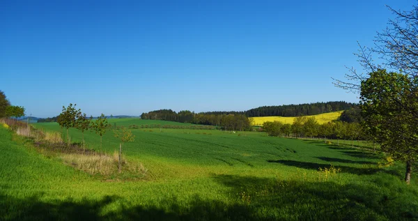 Zielony krajobraz w na południe od Czech — Zdjęcie stockowe
