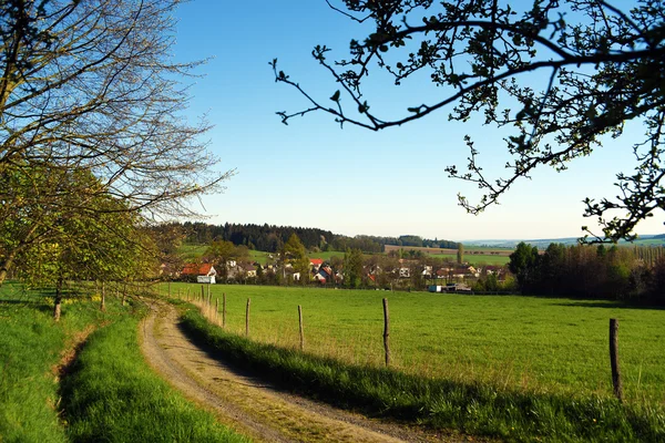 Peisaj verde în sudul Boemiei — Fotografie, imagine de stoc