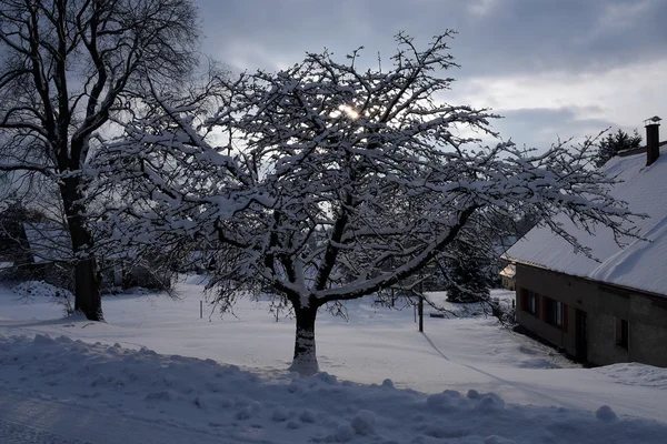 Снігове село з сонцем — стокове фото