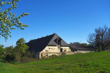 Bahar Bohemia güneyinde manzara
