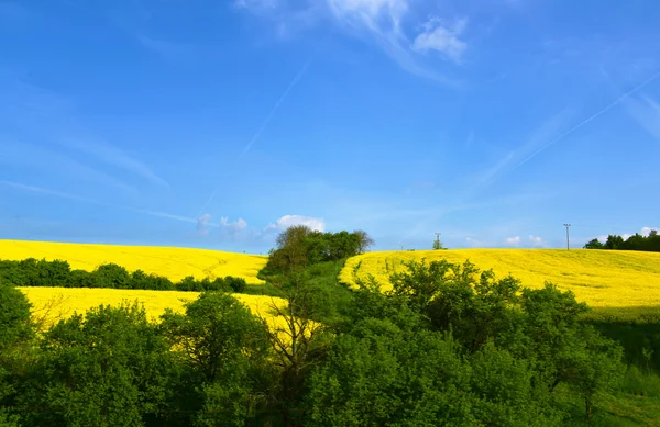 Moravia near Rosice from train — Stock Photo, Image