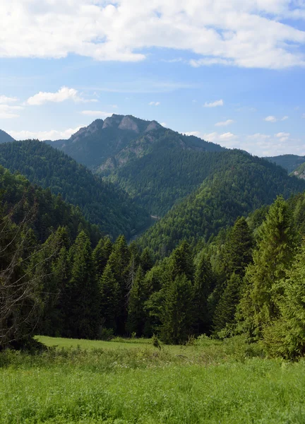 Pieniny Montanhas na Eslováquia e Polônia — Fotografia de Stock