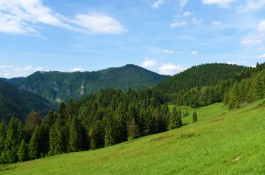 Dağlar Pieniny Slovakya ve Polonya