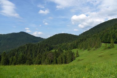 Dağlar Pieniny Slovakya ve Polonya