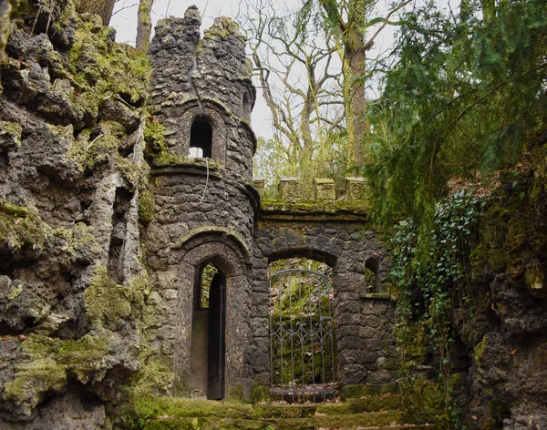 Harabe kale Usti nad Labem şehirdeki Hayvanat Bahçesi