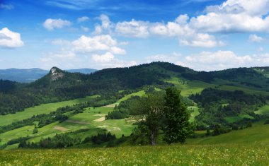 Dağlar Pieniny Slovakya ve Polonya