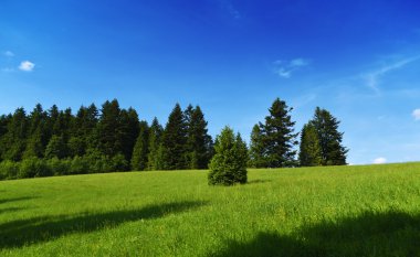 Dağlar Pieniny Slovakya ve Polonya