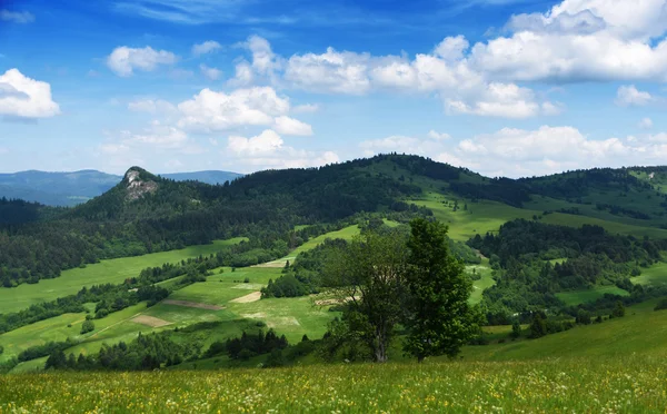 Góry Pieniny na Słowacji i w Polsce — Zdjęcie stockowe