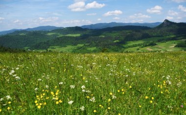 Dağlar Pieniny Slovakya ve Polonya