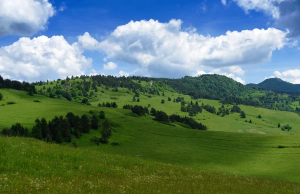 Pieniny in der Slowakei und Polen — Stockfoto