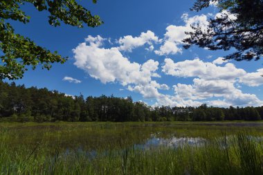 Zdarsky gölet Güney Bohemya'da adlı