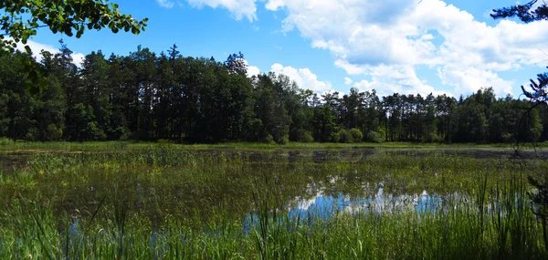 Pond in south Bohemia named Zdarsky — Stock Photo, Image