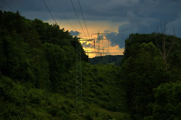 Долина с электрическими столбами в зеленых кустах — стоковое фото