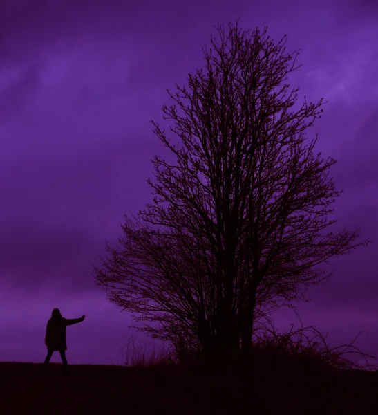 Silhouette homme et arbre avec ton violet — Photo