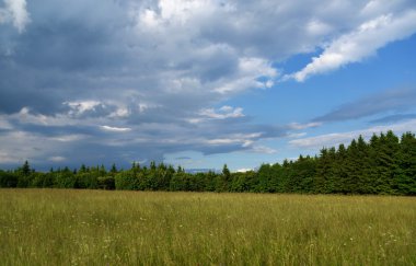 Neuhausen hory dağlarda yaz gün