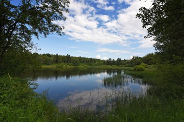 Neuhausen hory yaz günü Stribrny gölet yakınındaki dağlarda