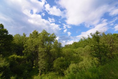 Neuhausen hory yaz günü Stribrny gölet yakınındaki dağlarda