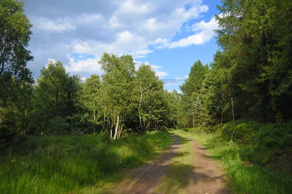 Neuhausen hory dağlarda yaz gün